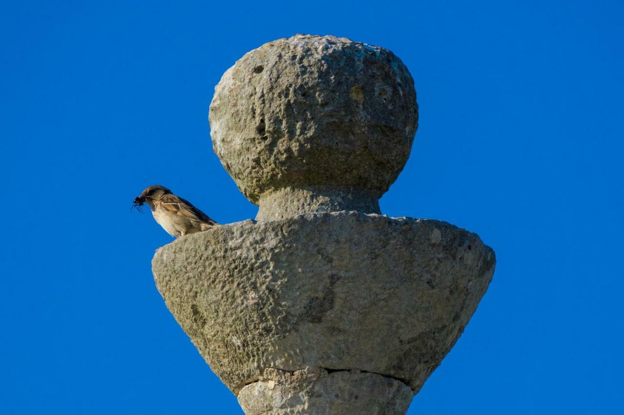 Trullo La Quiete Alberobello
